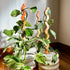 HEAT Totems by Secateur Me Baby